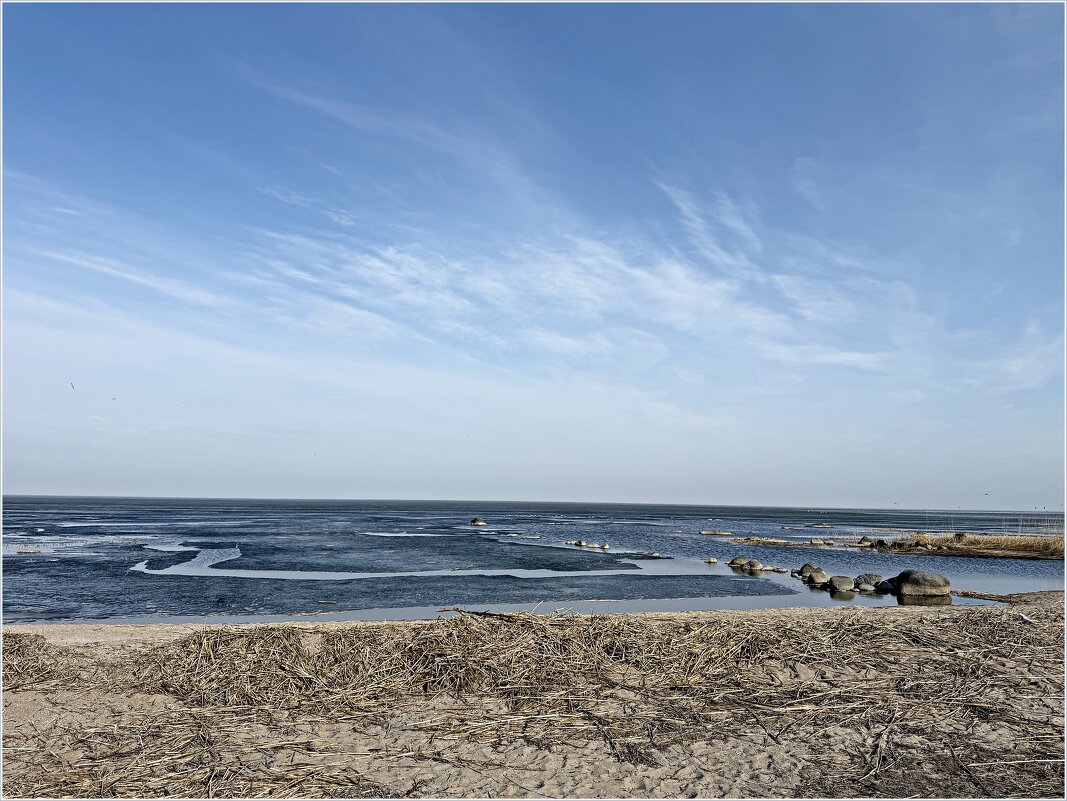 Весна на Калининградском заливе. - Валерия Комова Весна на Калининградском заливе. - Валерия Комова