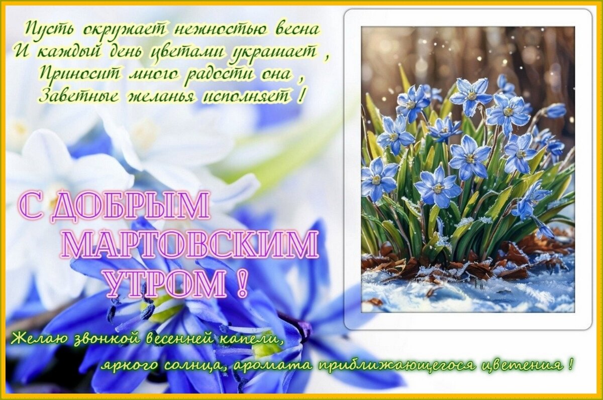 С Добрым мартовским утром ! - Валентина Надсон