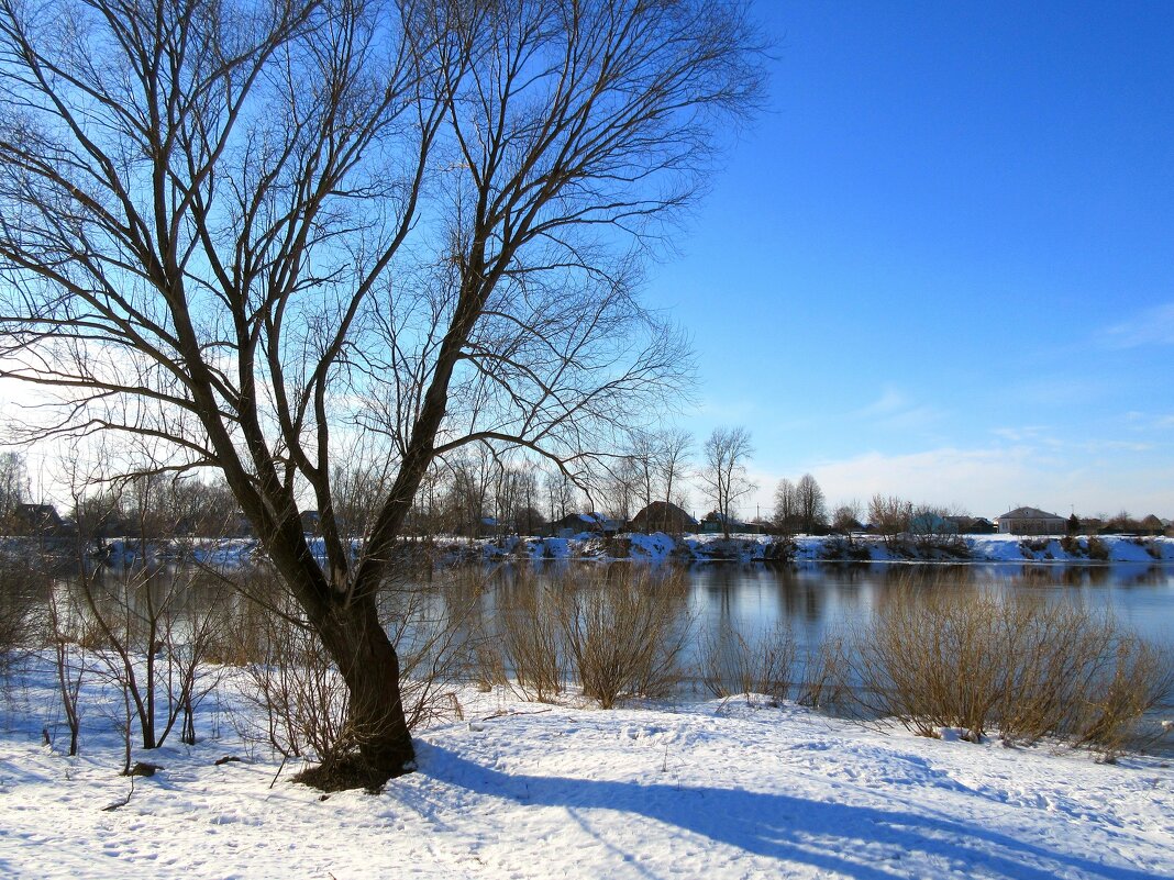 Весенний пейзаж - Наталья *** Весенний пейзаж - Наталья ***