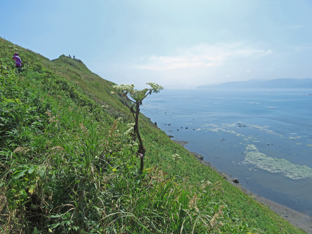 Поднятие на мыс Евстафия - ИРЭН@ . Поднятие на мыс Евстафия - ИРЭН@ .