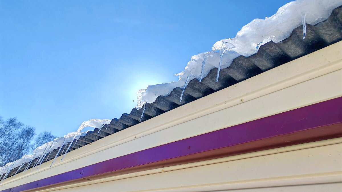 Пришла весна - Владимир Зыбин