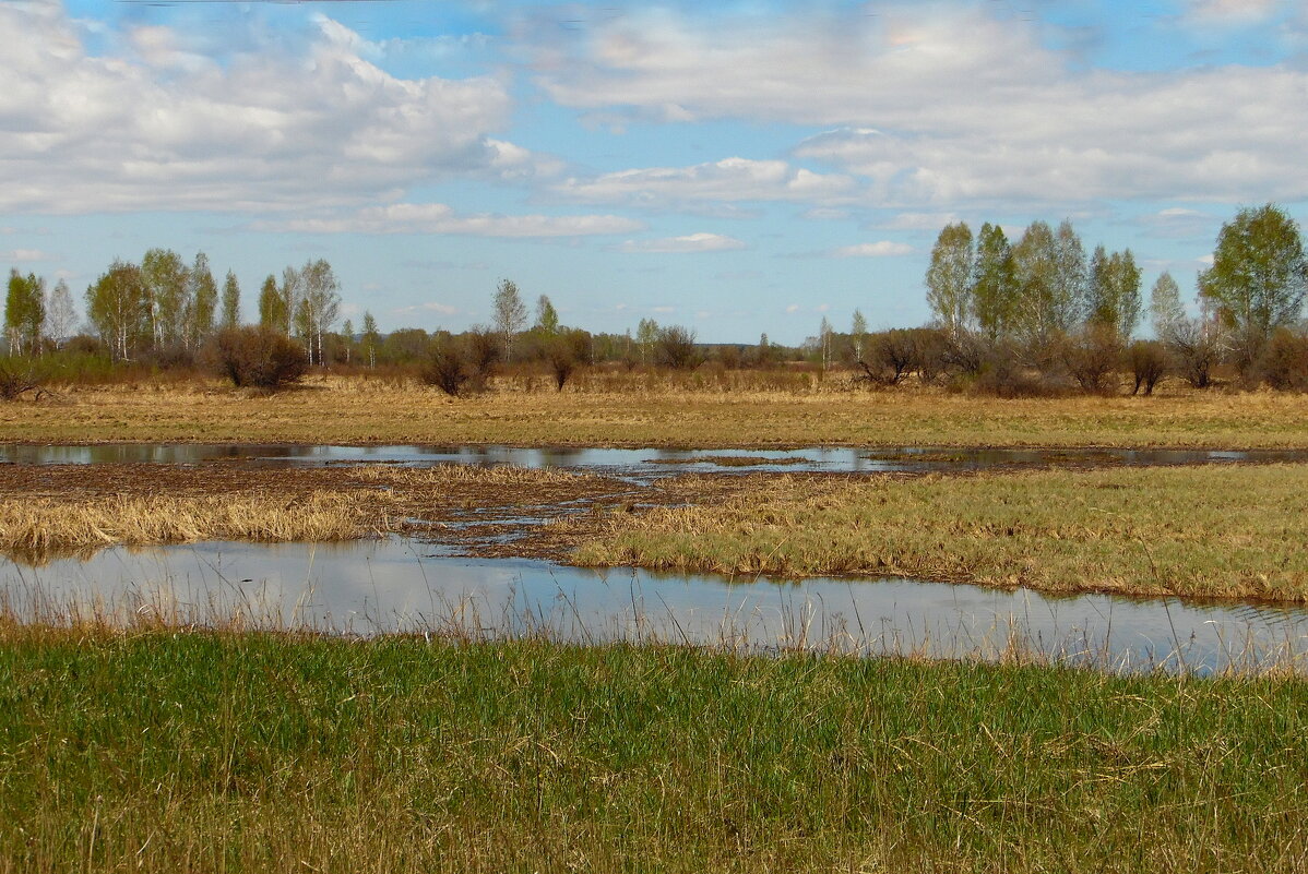Весенние воды. - nadyasilyuk Вознюк