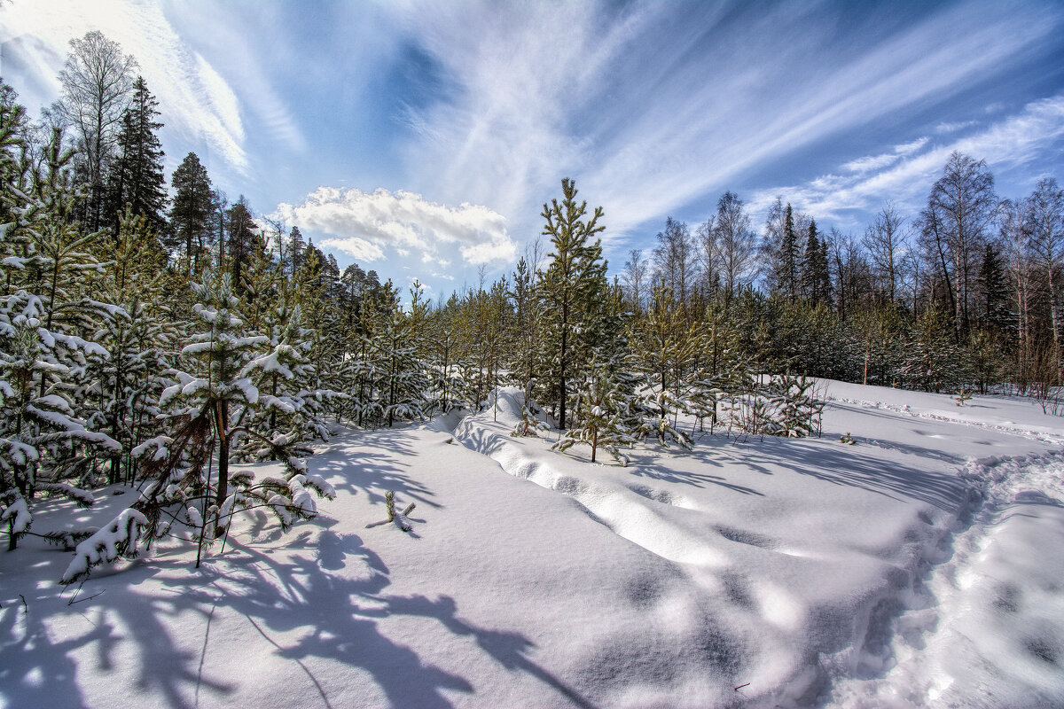 Весеннее небо - Vladimbormotov 