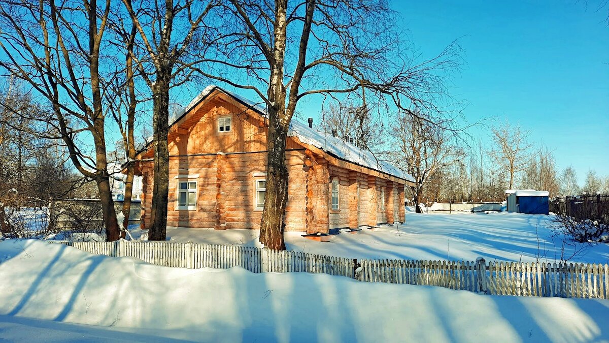 Среди берёз. - веселов михаил 