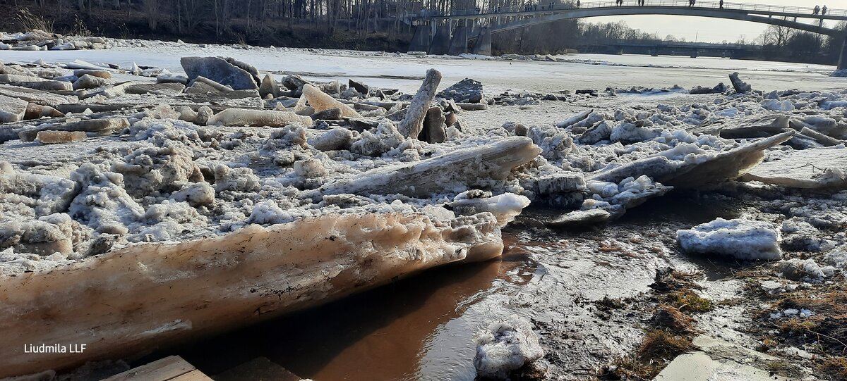 Ледоход на реке 15.03.2026 - Liudmila LLF