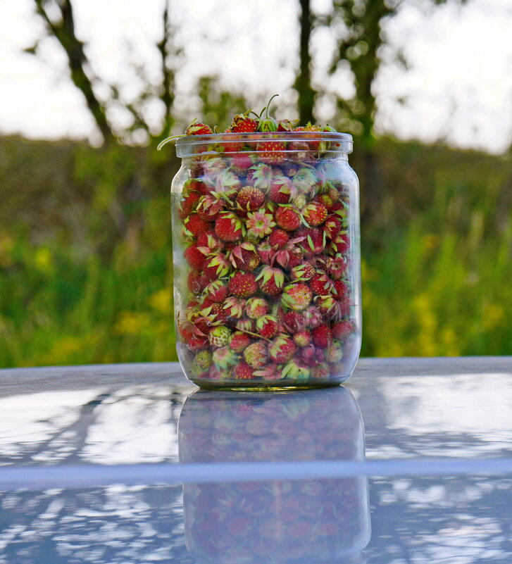 Ягоды от лета. - сергей ермошкин