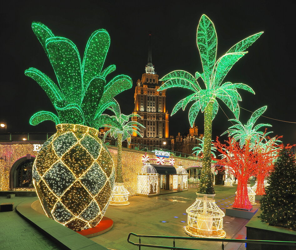 Новогодние ананасы Москвы. - Евгений Седов