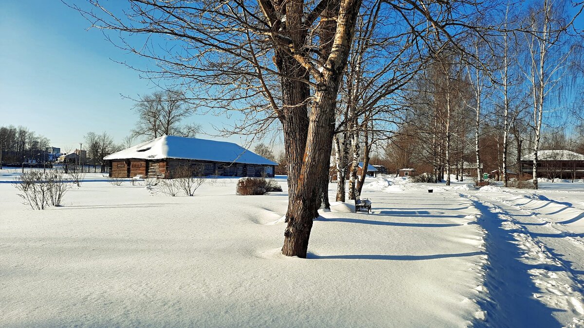 На аллее. - веселов михаил 