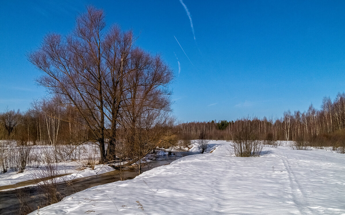 Середина Марта 3 - Андрей Дворников Середина Марта 3 - Андрей Дворников