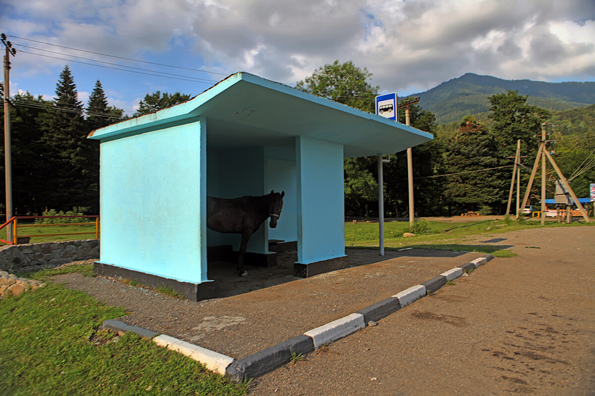 Поселковое такси - Valziwa 