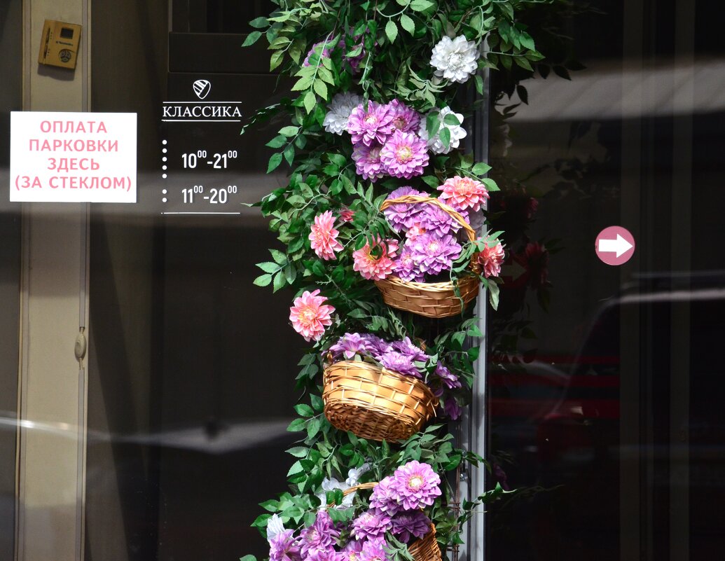 почему бы нет... - Savayr 