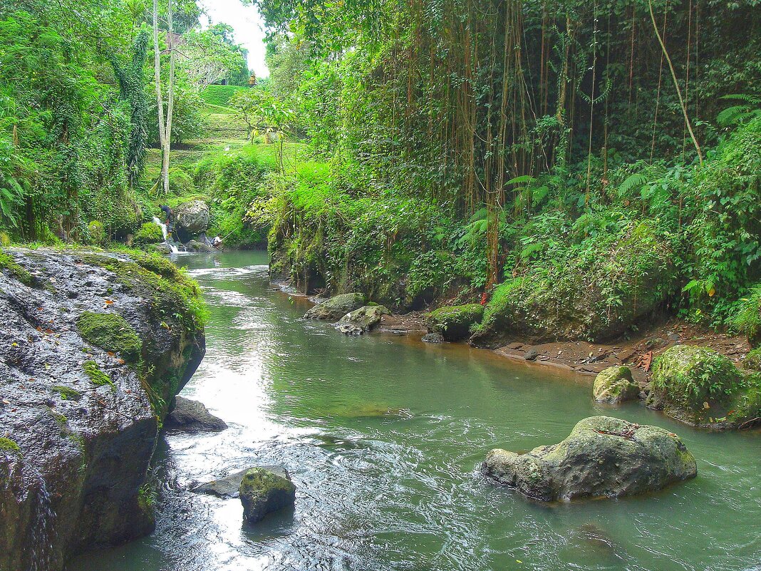 На горной речке - svk *