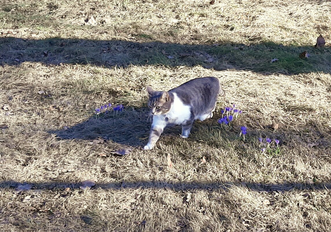 *** - Наталья Герасимова