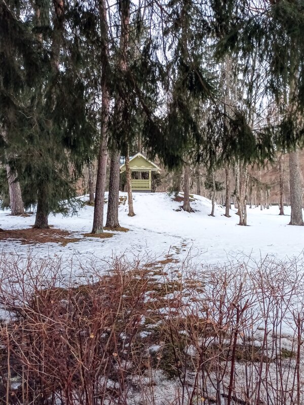 Прогулка в Нарва-Йыэсу - Veera V