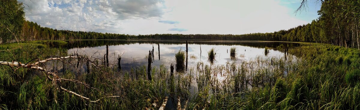 Панорама - Олег Денисов
