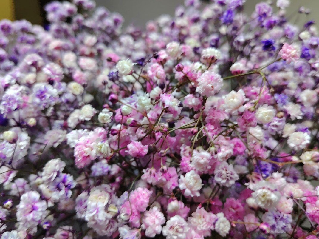 Букет на 8 марта - Наталья (ShadeNataly) Мельник