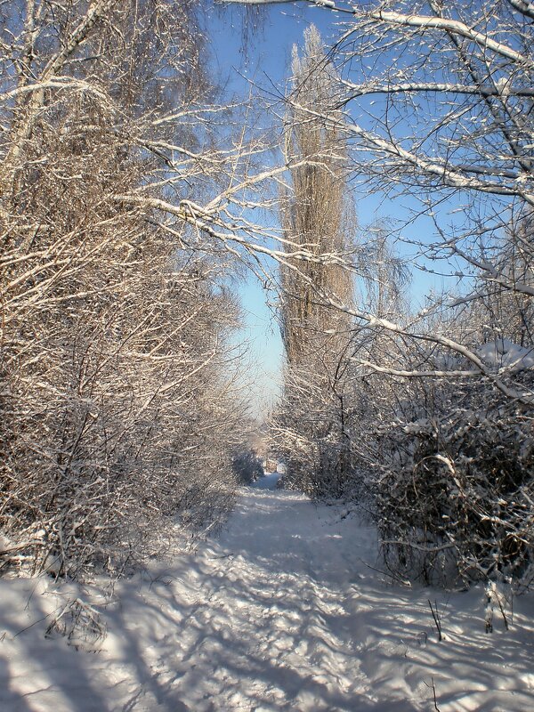 Прогулка городом - Роман Савоцкий