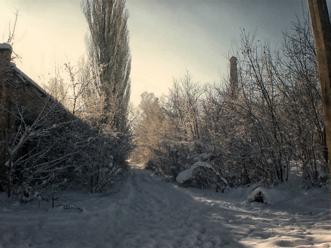 Прогулка городом - Роман Савоцкий