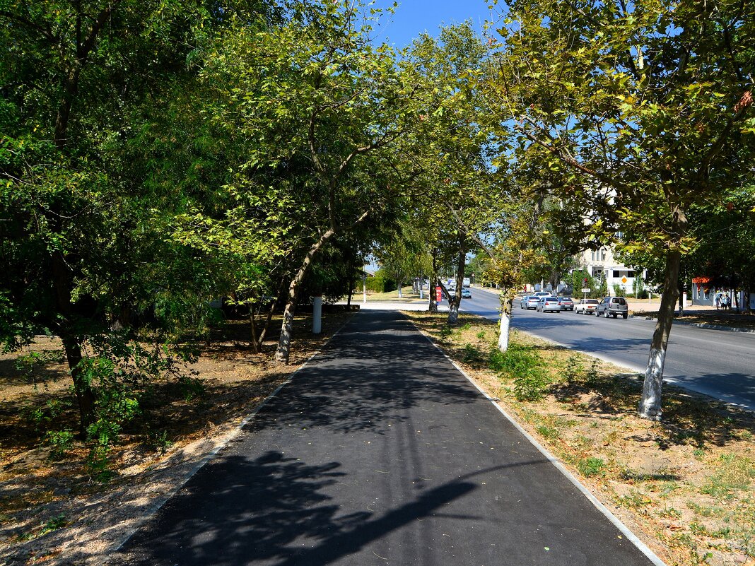 Керчь. Аллея улицы Горького летом. - Пётр Чернега