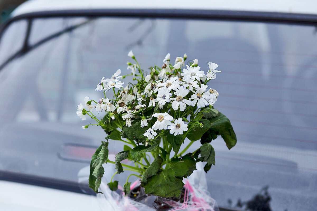 Отражение букета - Юрий Гайворонскiий