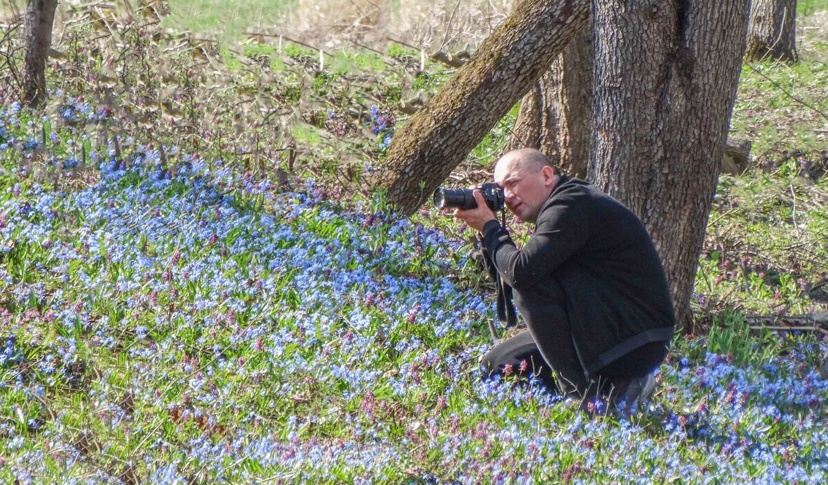 Весны цветение ... - Ravile 