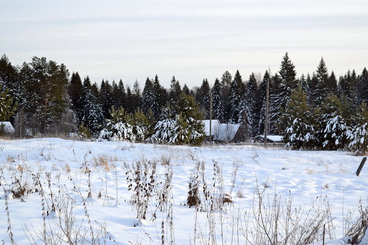 Посёлок Чернушка. - ВикТор Быстров
