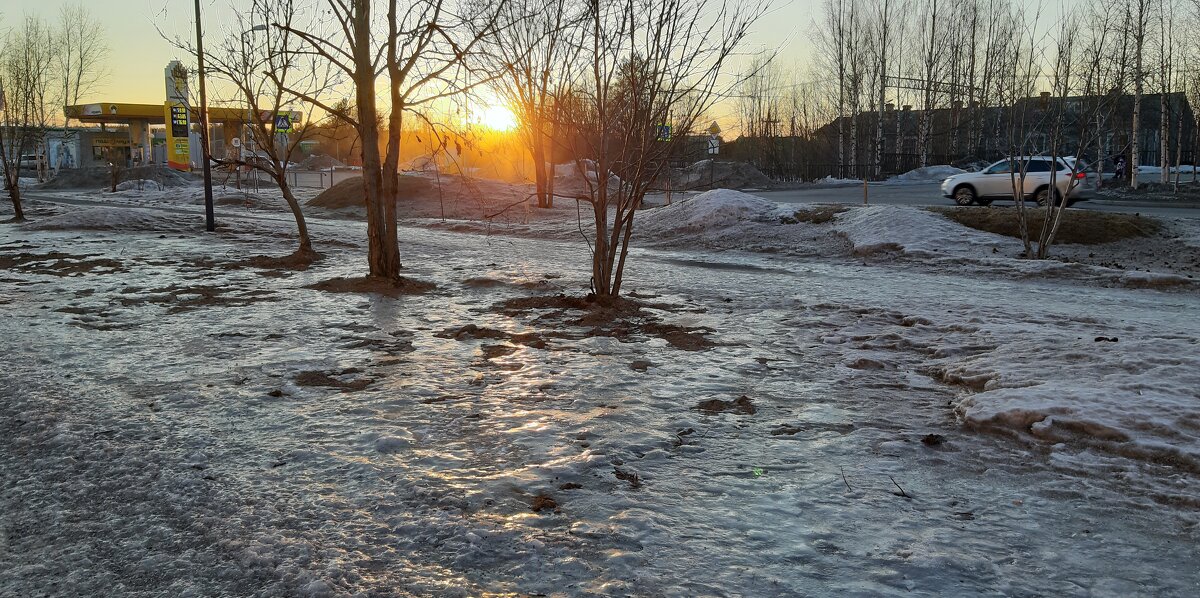 Ледниковый период - Ольга 