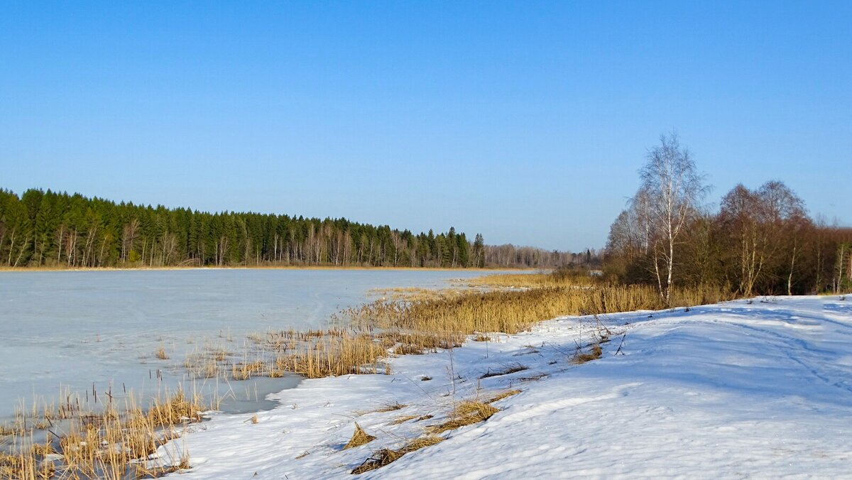 Весна в марте. - Милешкин Владимир Алексеевич 