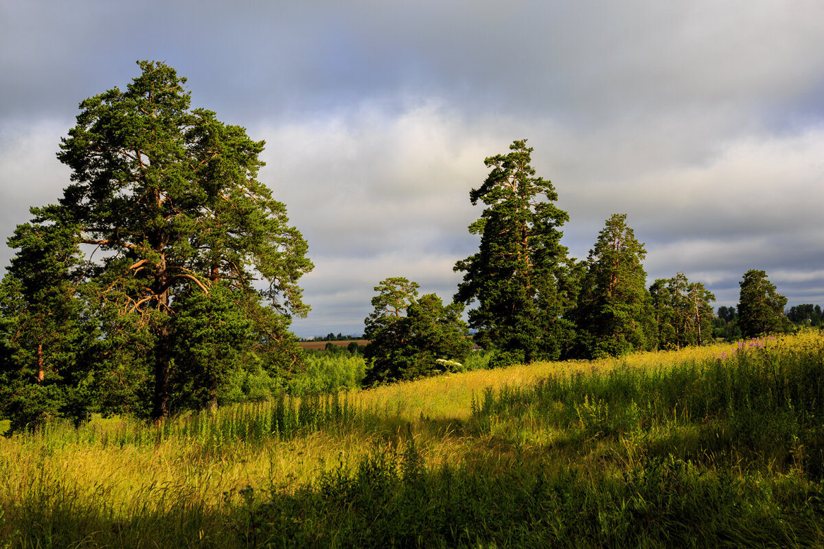 На рассвете. - Владимир Гришин