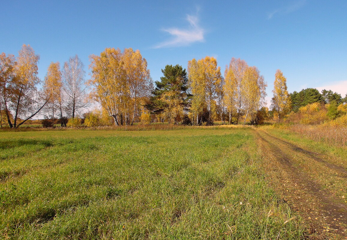 На арена - осень ! - nadyasilyuk Вознюк