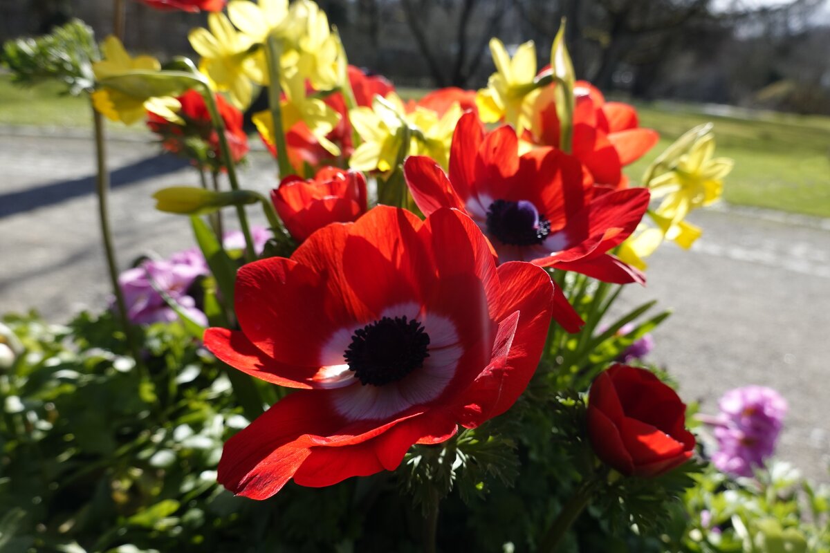 Мартовский букетик..... - Галина 