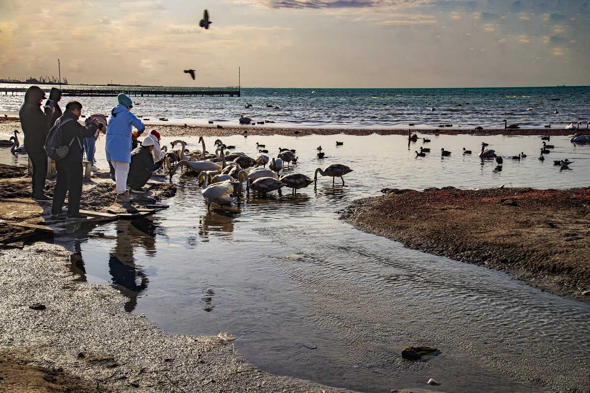 На берегу - Анатолий Чикчирный