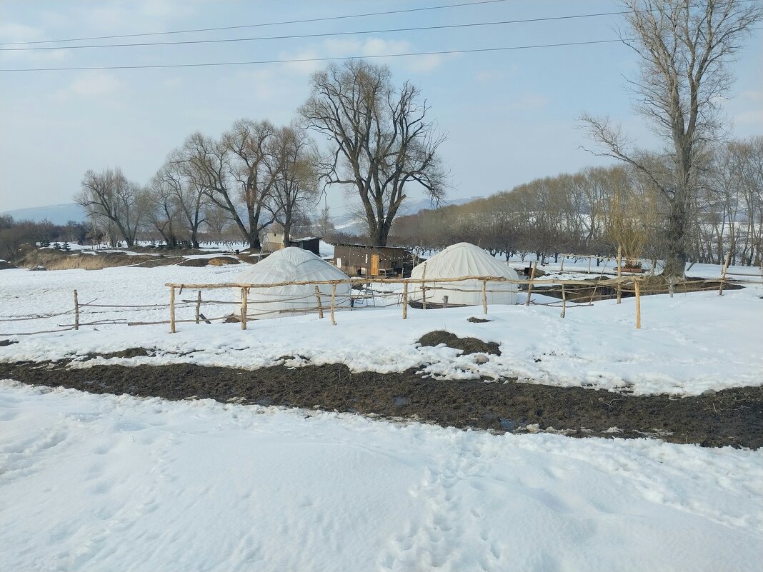 Talgar. - Murat Bukaev 