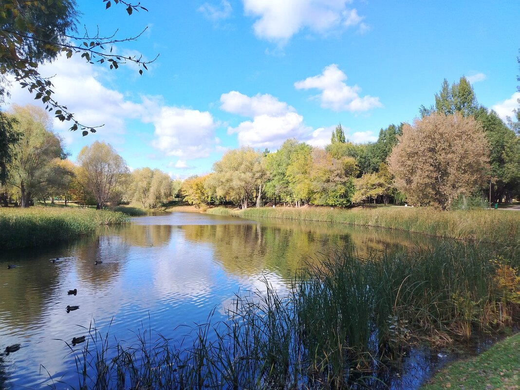 Самара. Воронежские озера - Надежда 