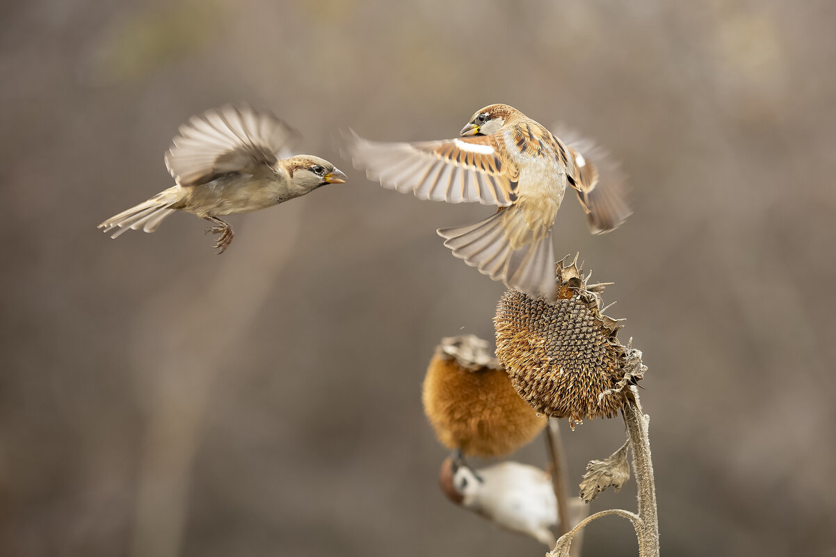 Увернулся! - Валерий Черняк