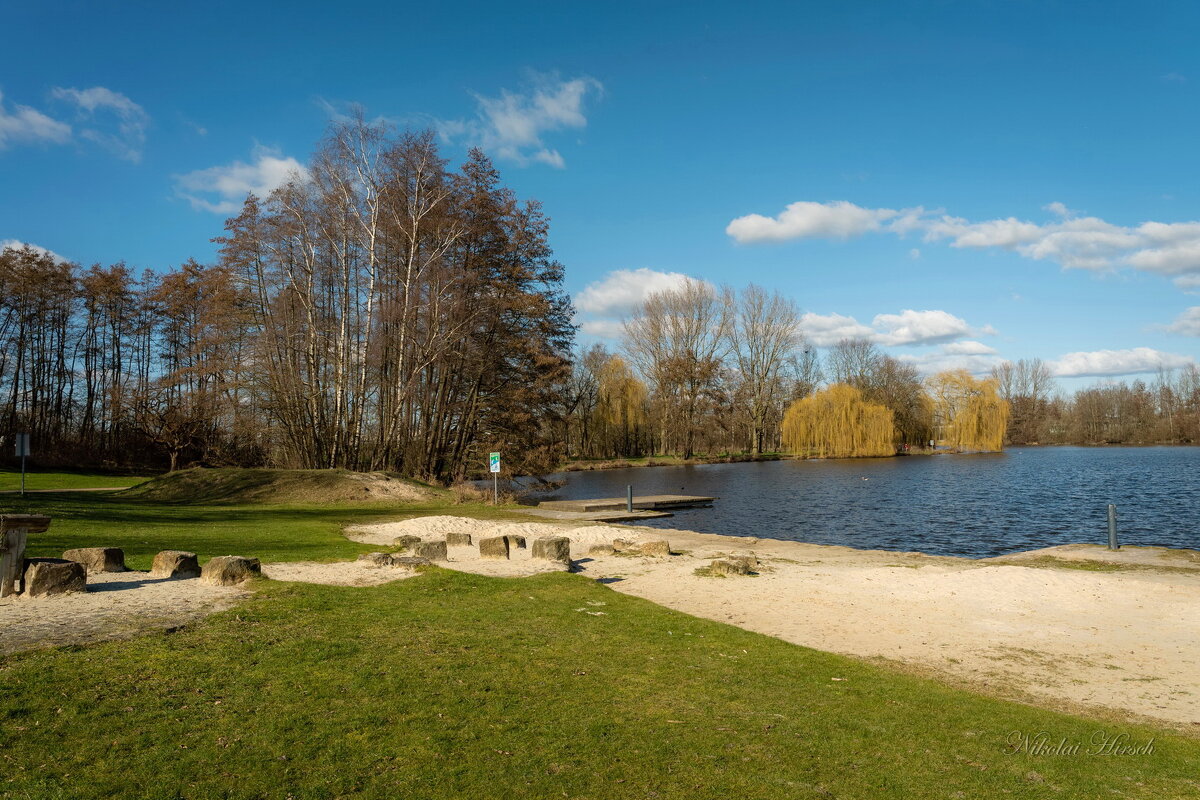 Ясный февральский день... - Николай Гирш