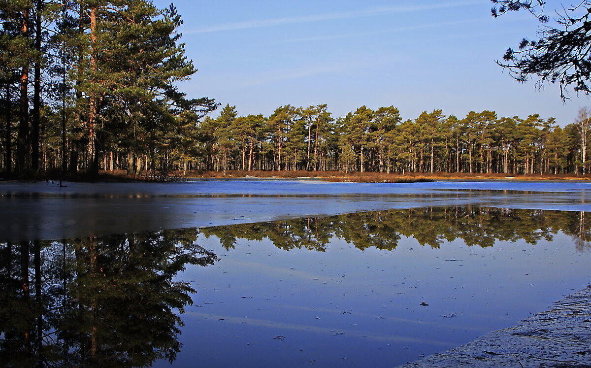 Признаки весны .. - Татьян@ Ивановна