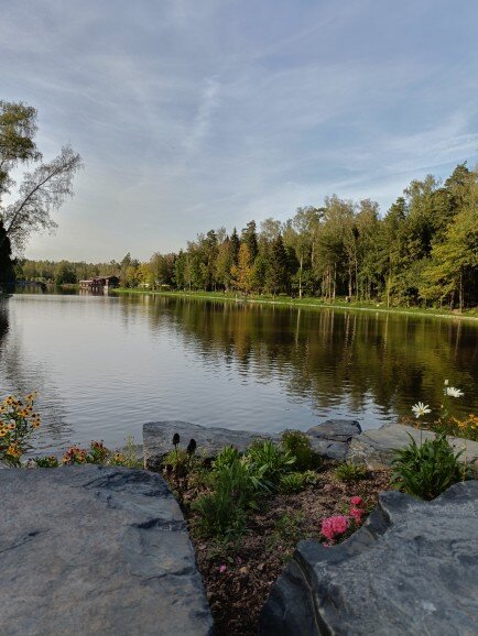 на берегу пруда - Галина R...