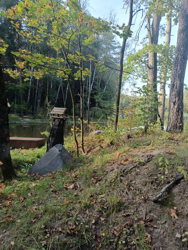 осенний парк - Галина R...