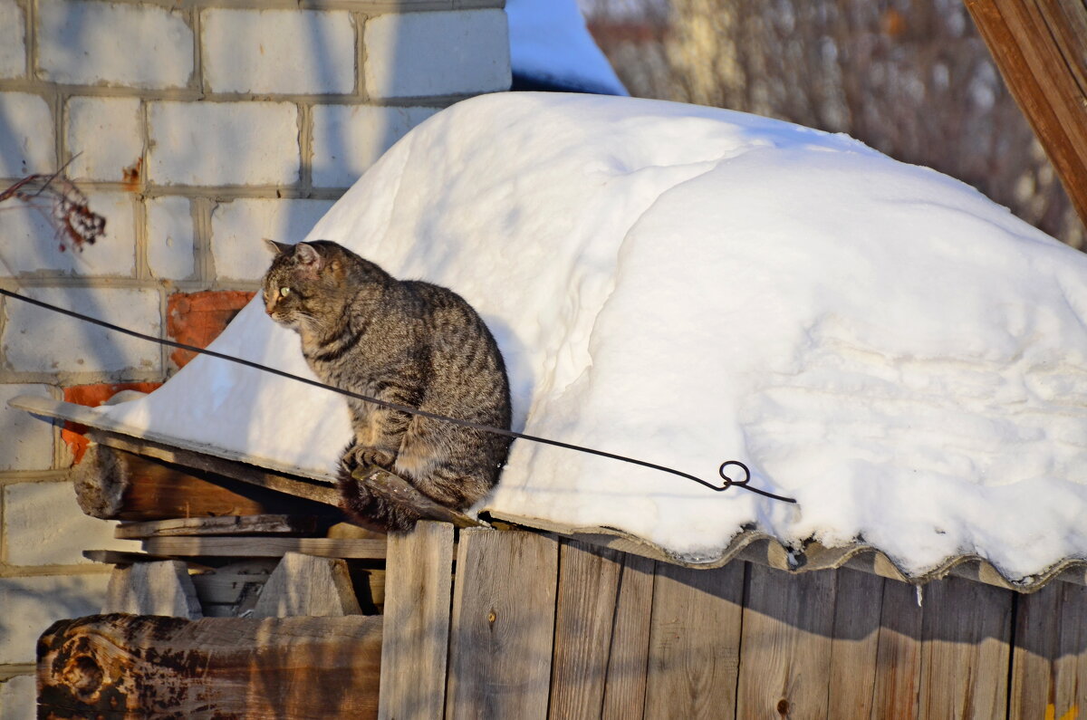 Задумалась.. - Михаил Курзанцев