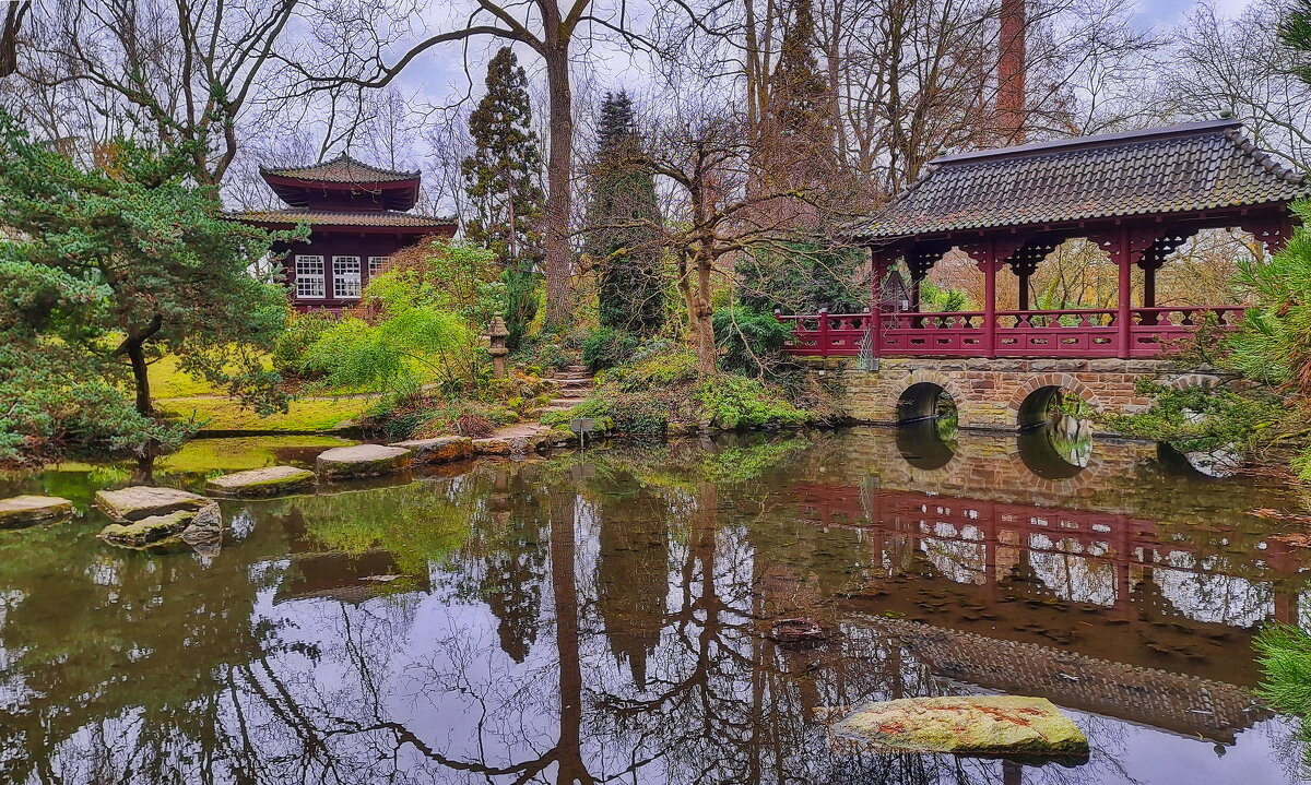 Японский садик - Андрей K.