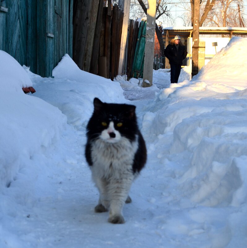 уйди с дороги - Savayr 