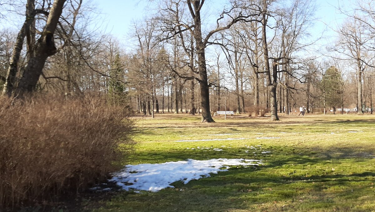 Парк Александрия - Наталья Герасимова