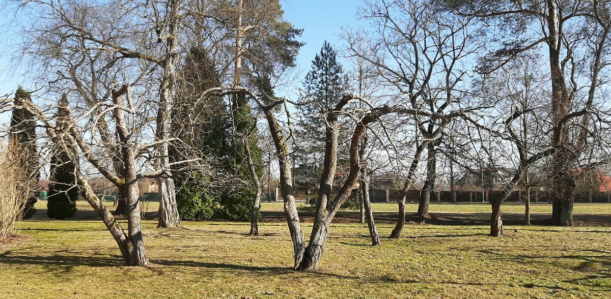 Парк Александрия. Март - Наталья Герасимова