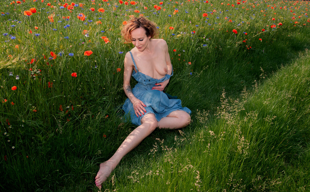 Время цветения маков - Valziwa 