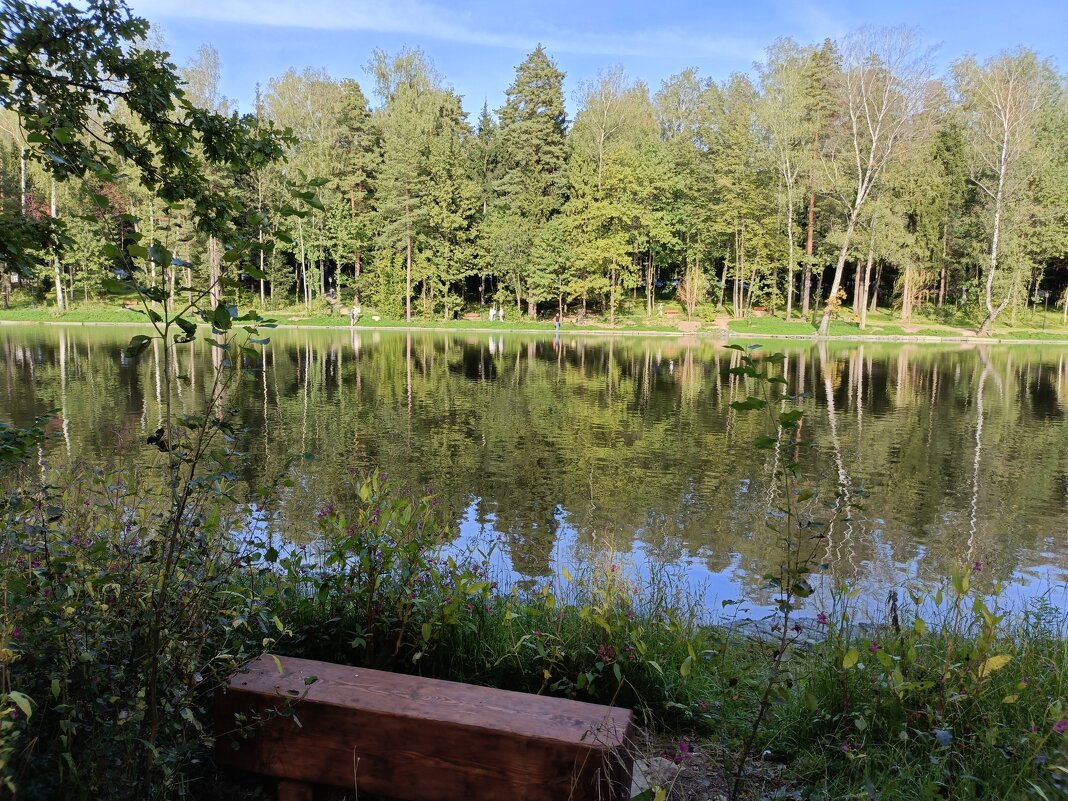 тишина и спокойствие- всё для приятного отдыха - Галина R...