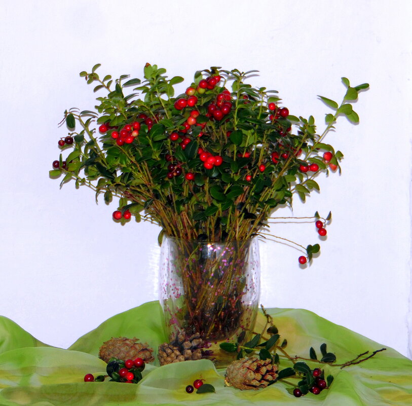 Ягодный букет. - nadyasilyuk Вознюк