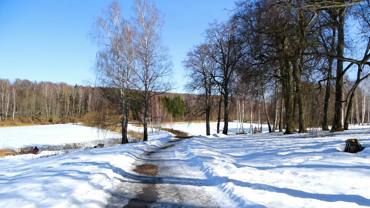 Весна в деревне. - Милешкин Владимир Алексеевич 