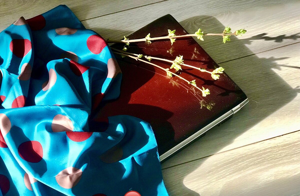 Шарфики полегче можно доставать!) Из сети выходим! Идем весну встречать!) - Альбина 