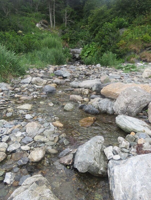 А  по камушкам речка  бежит - ИРЭН@ .
